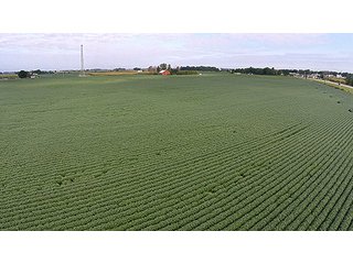Property photo 3 - LAND AUCTION-166+/- ACRES OFFERED IN 4 TRACTS IN CASS COUNTY